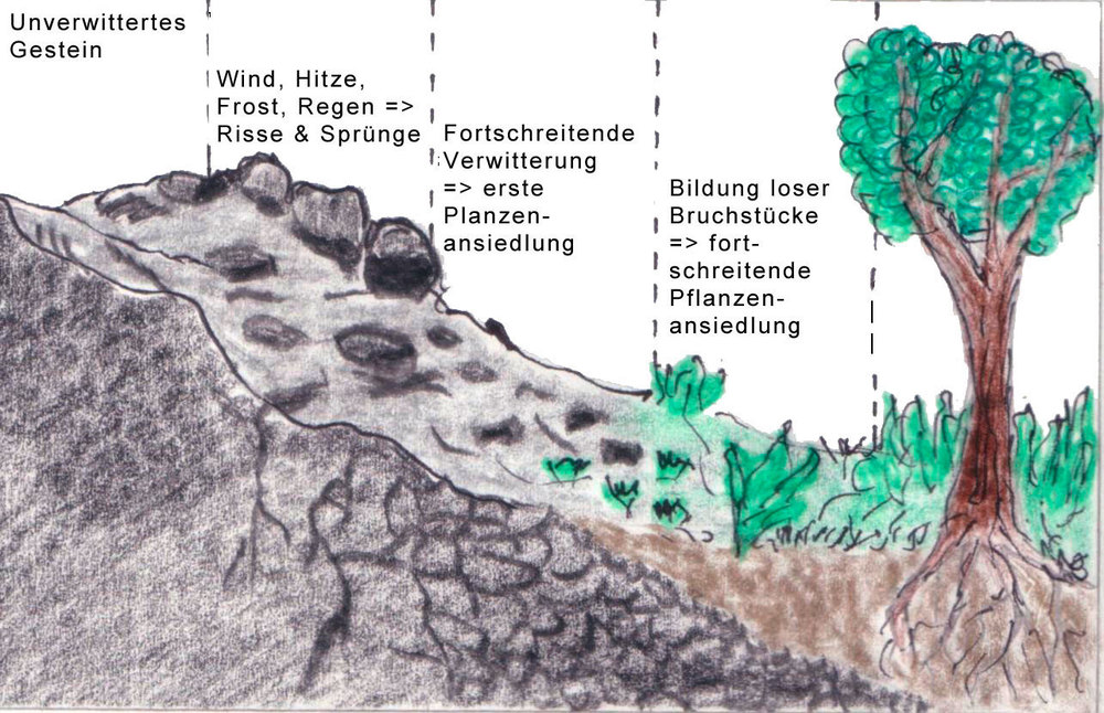 Land Oberösterreich - Wie entsteht Boden?